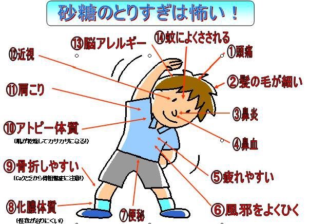 エディタ内確認用画像